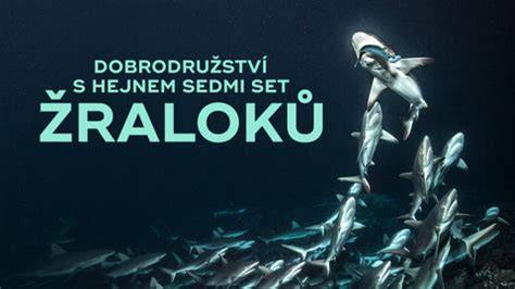 Infografika: Rozložení genů a nekódujících sekvencí u žraloků a jejich srovnání s člověkem