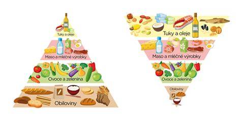 Infografika: Výživová pyramida a klíčové živiny pro děti různého věku
