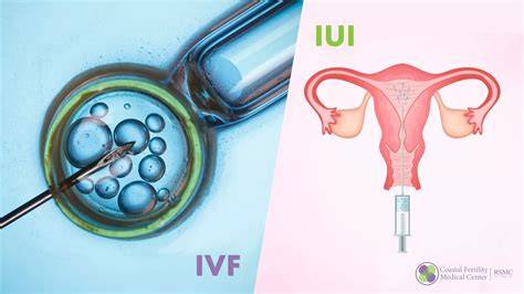 Infografika: Porovnání IVF a IUI - postupy, šance a náklady