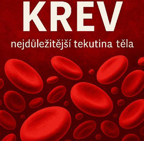 Infografika: Jak funguje detekce těhotenství - krev vs. moč