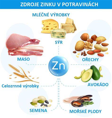 Graf ukazující zdroje zinku v potravinách a jejich biologickou dostupnost
