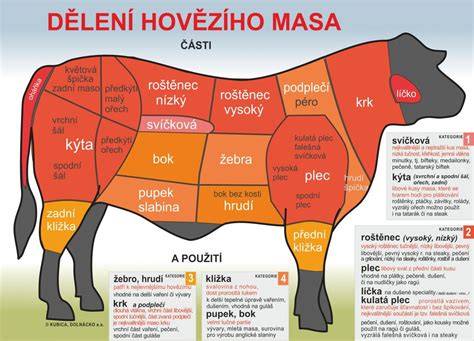 Infografika: Základní členění hovězí kýty na šály a jejich charakteristiky