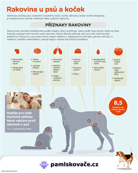 Infografika: Příčiny vyrážky u psů a jejich rozdělení