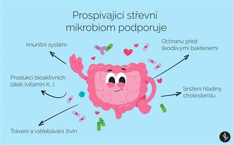 Infografika: Jak glyfosát ovlivňuje rostliny a mikrobiom