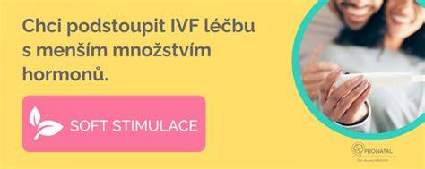 Infografika: Jak funguje IVF stimulace a co ovlivňuje počet vybraných vajíček