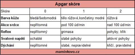 infografika s klíčovými body vyšetření novorozence po porodu (Apgar skóre, vážení, měření)