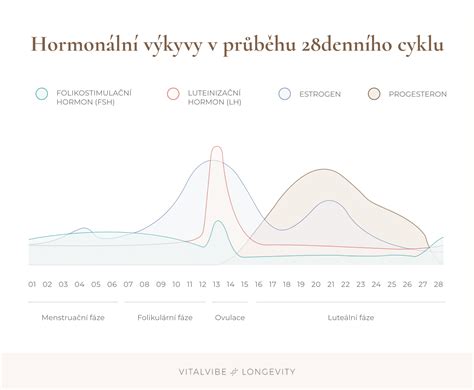 Infografika: Nádherné krevní a hormonální procesy v těle ženy během těhotenství a kojení