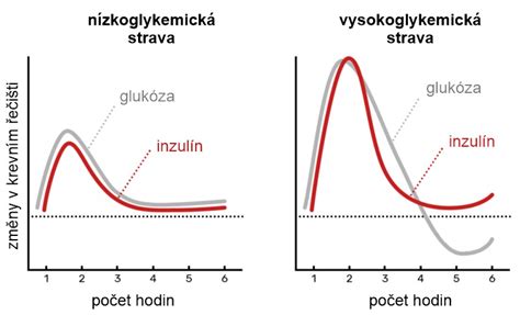 grafické znázornění hladiny glukózy v krvi a účinku inzulinu