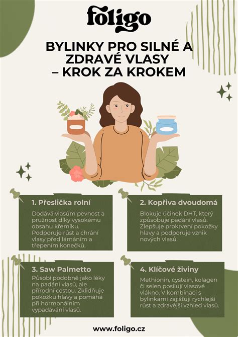 infografika zobrazující běžné bylinky pro podporu laktace