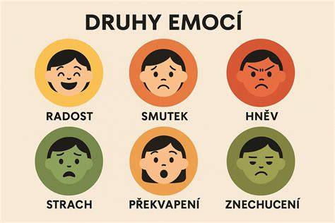 Infografika ukazující rozdělení balíčků ultrazvuku a jejich období