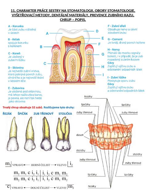 Infografika zobrazující postup vzniku zubního kazu a metody jeho prevence