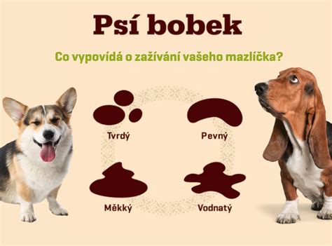 Detailní fotografie dětské stolice - suché a tvrdé bobky.