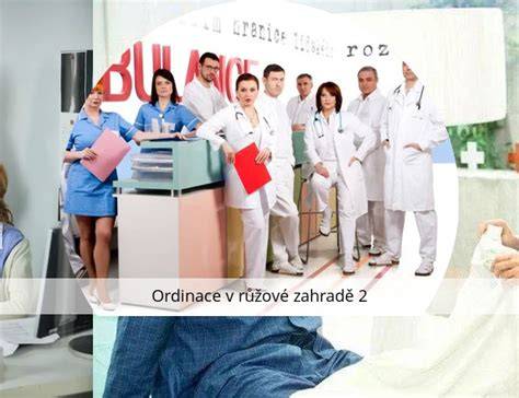 Infografika: Porodní prostředí v Ordinaci v růžové zahradě a reálné postupy