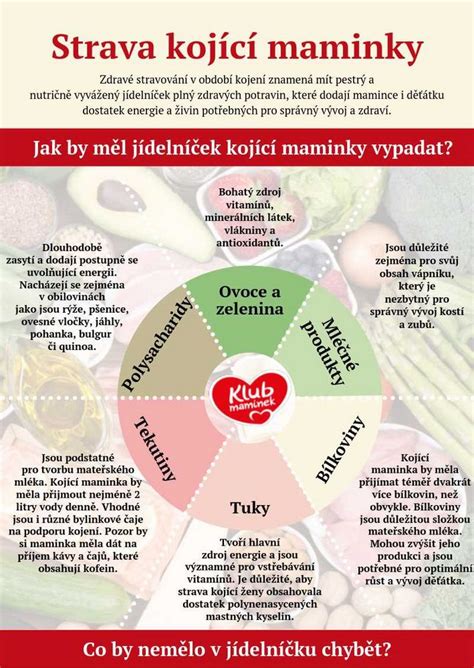 Infografika: Jak správně držet dítě při kojení a typické chyby