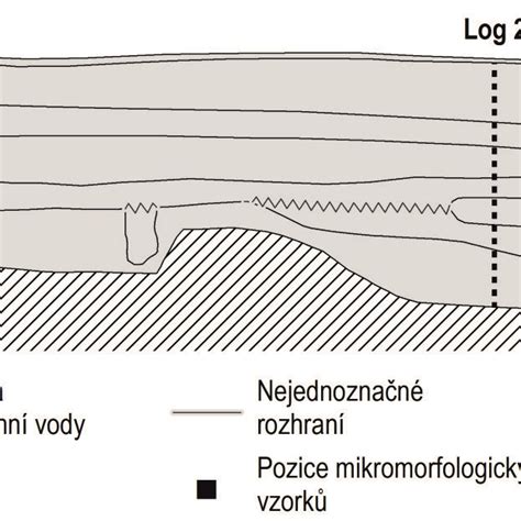 schematické znázornění zmenšující se dělohy v průběhu šestinedělí