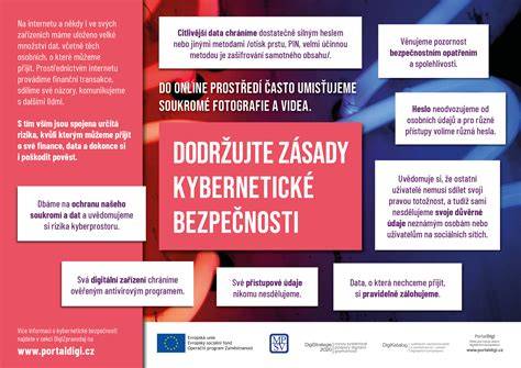 Infografika o kybernetické bezpečnosti ve školách