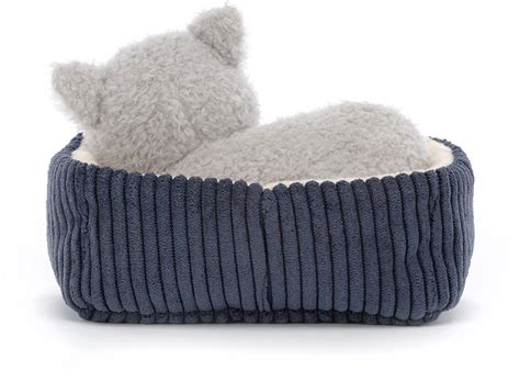 koťata v teplém pelíšku