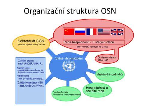 Infografika: Struktura a vztahy UNIPA, ČSPA a mezinárodní organizace