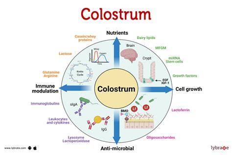 Kolostrum_header_infographic