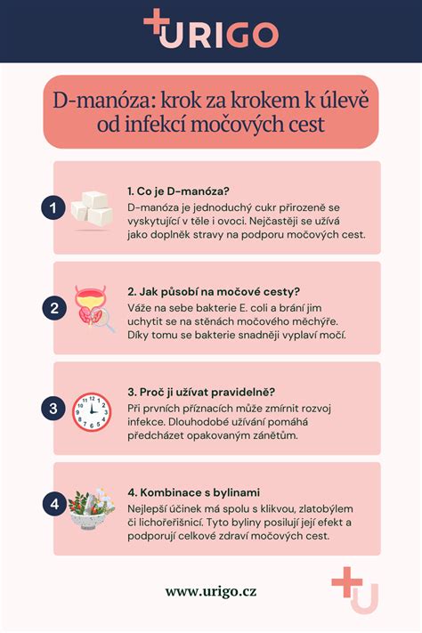 Infografika: Přenos STI - hlavní cesty a prevence