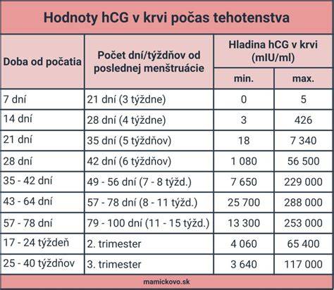 Infografika: HCG hladiny po početí a v průběhu těhotenství