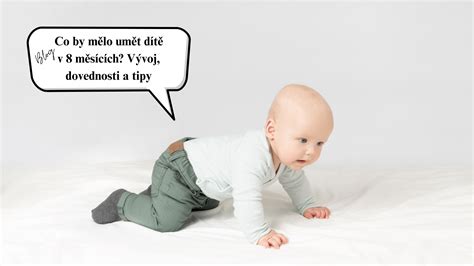 ilustrace miminka v 8 měsících