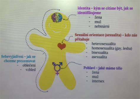 Schéma prevence sexuálního násilí ve škole