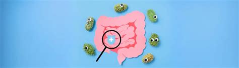 ilustrace různých mikroorganismů způsobujících průjem u dětí