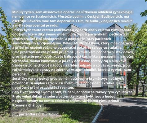 Infografika s přehledem služeb gynekologicko-porodnického oddělení