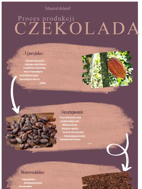 Infografika: Proces opravy kočárku a kontrolní seznam dílů