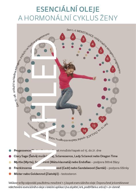 Infografika: Hormonální cyklus ženy a vliv na prsa