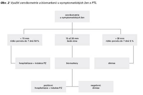 Infografika: Jak funguje predikce rizika předčasného porodu (QIuPP, cervikometrie, fFN).
