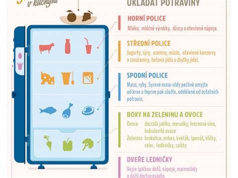 Infografika: Jak správně zavádět pudinky do jídelníčku miminka