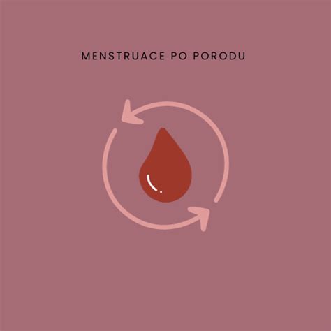 grafické znázornění různých faktorů ovlivňujících návrat menstruace po porodu, jako je kojení, hormonální hladiny a individuální faktory