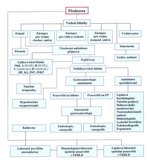 Infografika: Struktura Gynekologicko-porodnické kliniky a její oddělení