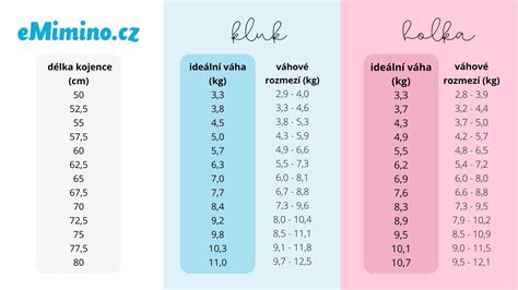 vizualizace velikosti miminka ve 41. týdnu