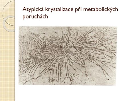 Stav cervikálního hlenu během cyklu