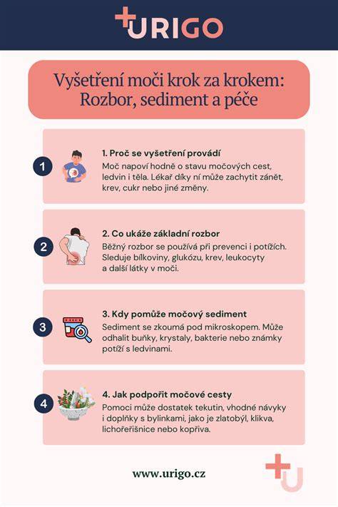 Infografika: přehled vyšetření při opakovaném potratu