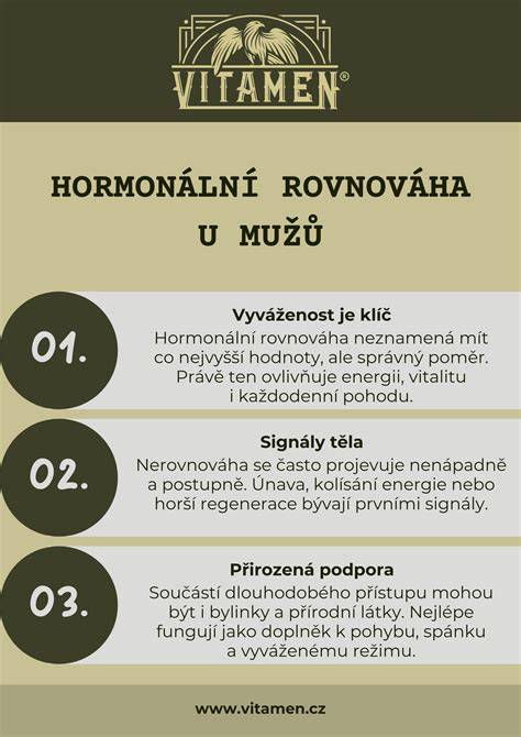 Infografika: hormonální proměny během těhotenství a jejich vliv na nevolnosti