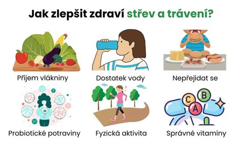 Infografika: Jak funguje lactace a trávení během kojení