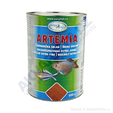 Mikroskopický snímek nauplií artemie, ideální potravy pro potěr