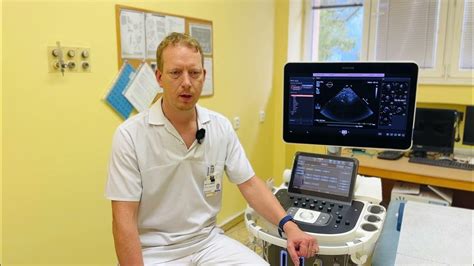 ultrazvukové vyšetření březí feny