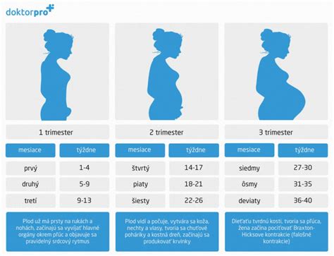 infografika znázorňujúca zraniteľnosť plodu v prvom trimestri a zoznam zakázaných látok