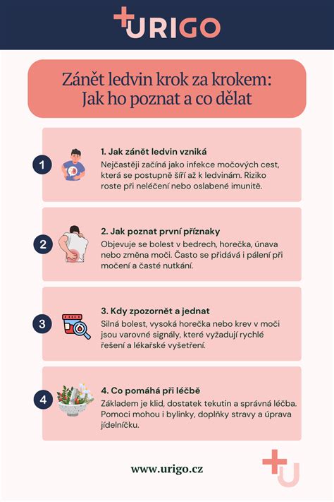 Infografika o ABKM: diagnostika, léčba a napiš skrztulku
