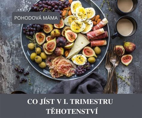 Grafické znázornění embrya v prvním trimestru těhotenství.