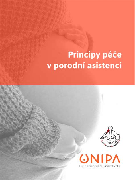 grafické znázornění legislativního rámce pro porodní asistenci v ČR