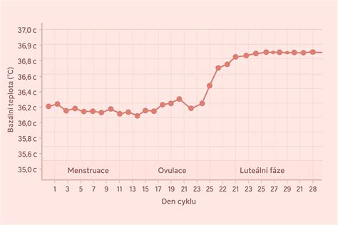 Graf bazální teploty s vyznačeným poklesem před ovulací a následným vzestupem.