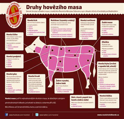 Infografika: Druhy interrupce a jejich postupy
