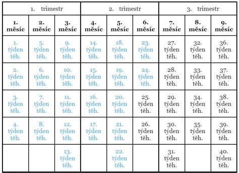 Infografika ukazující počítání týdnů těhotenství a definice gestational age