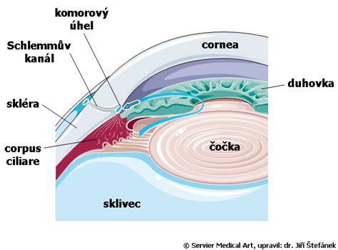 Infografika: Jak se do těla dostává oční léčiva při lokální aplikaci a proč je riziko systémového průniku nízké